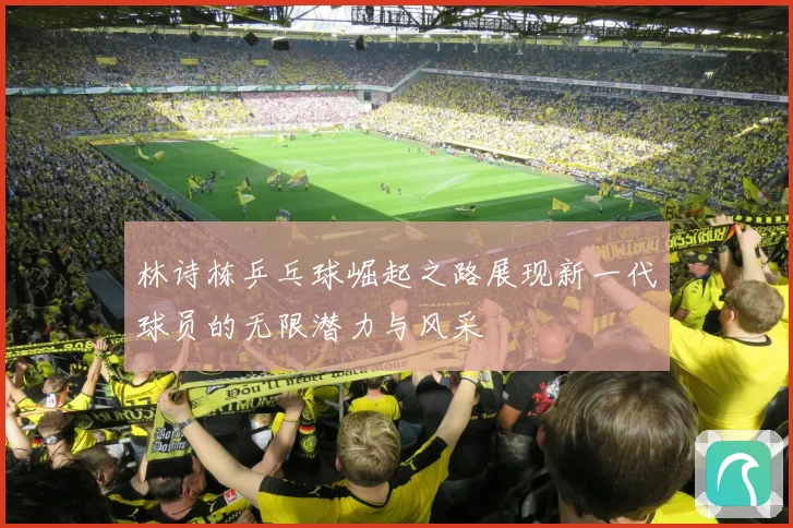 林诗栋乒乓球崛起之路展现新一代球员的无限潜力与风采